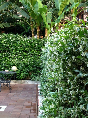 Imagen de los exteriores del Hotel Select Garden. Foto 11