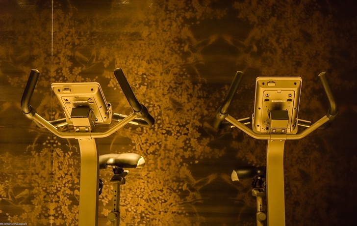 Imagen de los interiores del Hotel Select Ms William Shakespeare - Frankfurt. Foto 17