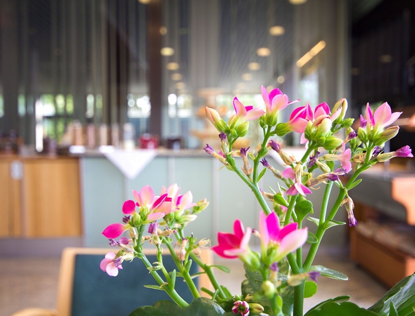 Imagen del bar/restaurante del Hotel Seligweiler and Restaurants. Foto 5