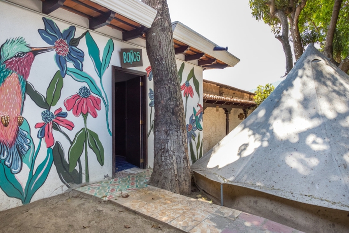 Imagen general del Hotel Selina Antigua. Foto 16