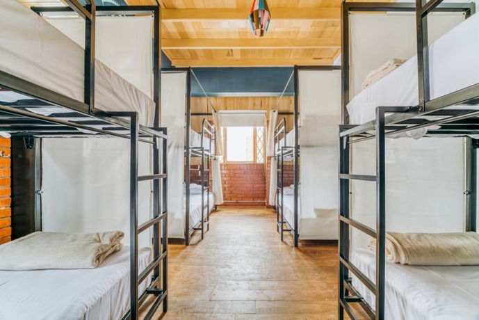 Imagen de la habitación del Hotel Selina La Paz. Foto 9