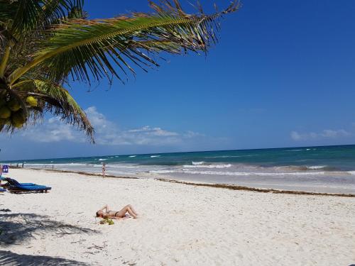 Imagen general del Hotel Selina Tulum. Foto 3