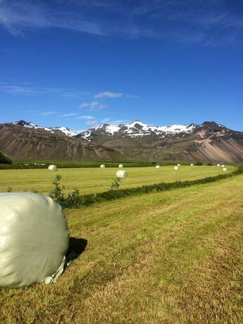 Imagen general del Hotel Seljavellir Guesthouse. Foto 8