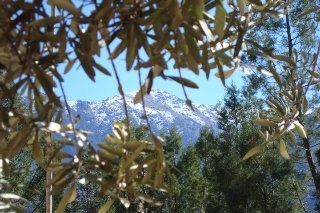 Imagen de la piscina del Hotel Sels D'ailleurs. Foto 14