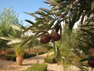 Imagen de los exteriores del Hotel Sels D'ailleurs. Foto 6