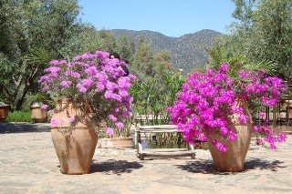 Imagen de los exteriores del Hotel Sels D'ailleurs. Foto 9