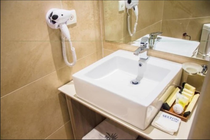 Imagen de la habitación del Hotel Selton. Foto 12