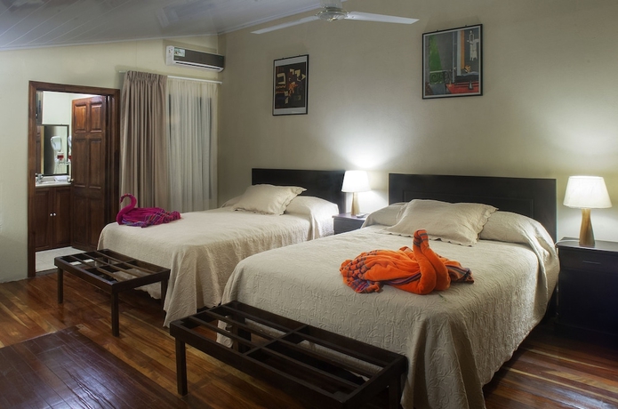 Imagen de la habitación del Hotel Selva Verde Lodge. Foto 15