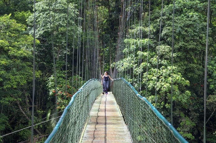 Imagen general del Hotel Selva Verde Lodge. Foto 2