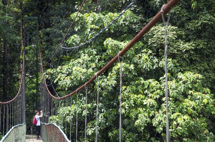 Imagen general del Hotel Selva Verde Lodge. Foto 5