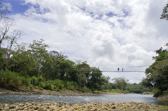 Imagen general del Hotel Selva Verde Lodge. Foto 6