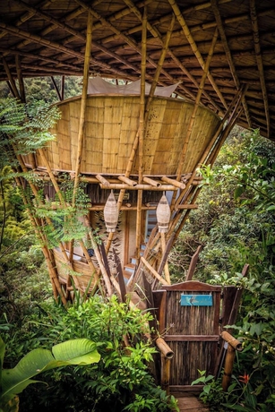 Imagen de la habitación del Hotel SelvaMinca. Foto 14