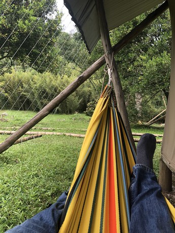 Imagen general del Hotel SelvaViva Boutique - Glamping. Foto 2