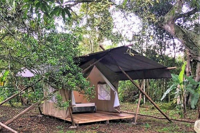 Imagen de la habitación del Hotel SelvaViva Boutique - Glamping. Foto 14