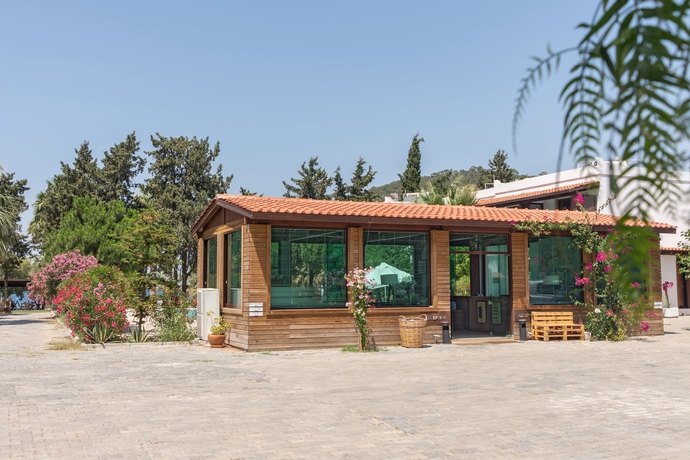 Imagen general del Hotel Selvi Beach. Foto 3