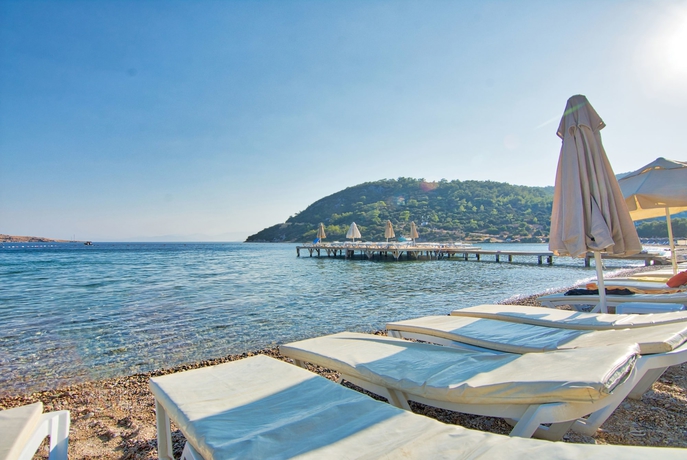Imagen de los exteriores del Hotel Selvi Beach. Foto 12