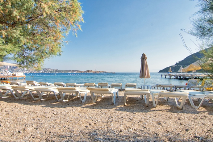 Imagen de los exteriores del Hotel Selvi Beach. Foto 13
