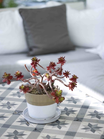 Imagen de los interiores del Hotel Semeli, Mikonos. Foto 9