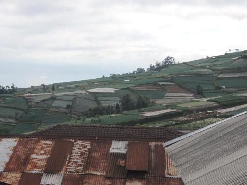 Imagen general del Hotel Semilir Glamping. Foto 1