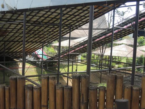 Imagen general del Hotel Semilir Glamping. Foto 5