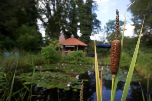 Imagen general del Hotel Seminarhotel Aurich. Foto 6