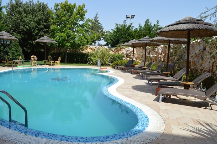 Imagen de la piscina del Hotel Semiramide Palace. Foto 19