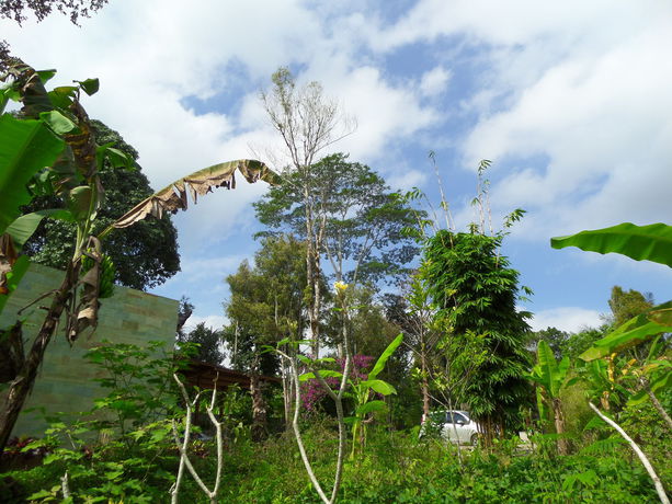 Imagen de la habitación del Hotel Senetan Villas and Spa Resort. Foto 6