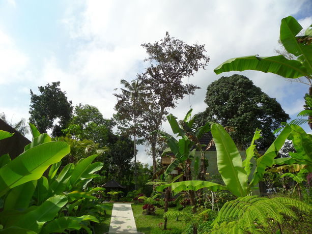 Imagen de la piscina del Hotel Senetan Villas and Spa Resort. Foto 16