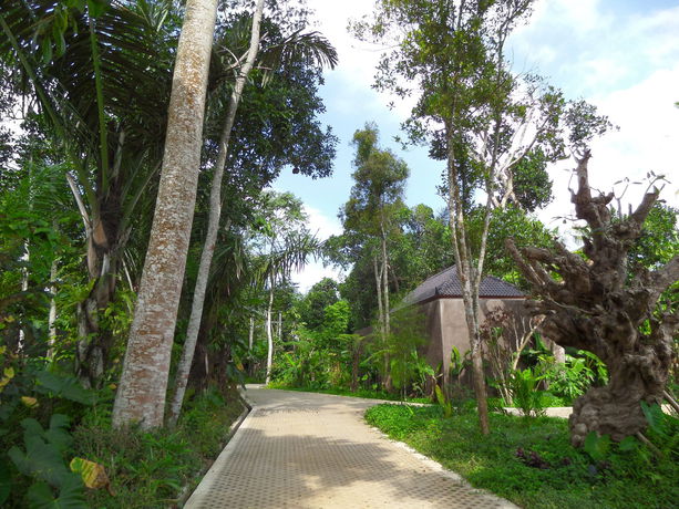 Imagen de la habitación del Hotel Senetan Villas and Spa Resort. Foto 9