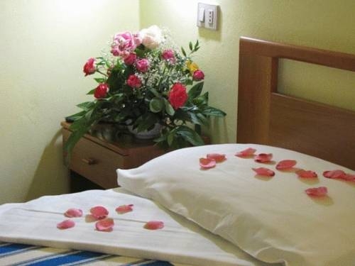 Imagen general del Hotel Senio. Foto 4