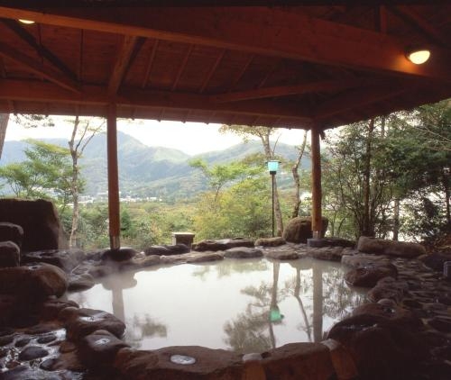 Imagen general del Hotel Senkyoro. Foto 1
