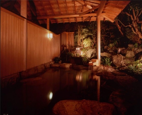 Imagen de la piscina del Hotel Senpokaku. Foto 14