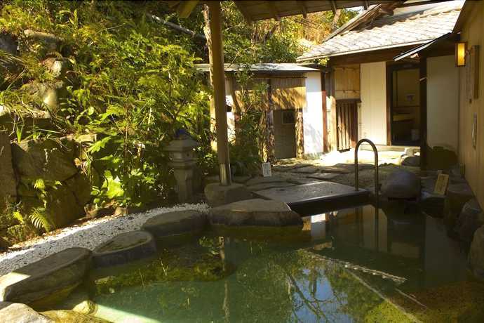 Imagen de la piscina del Hotel Senpokaku. Foto 15