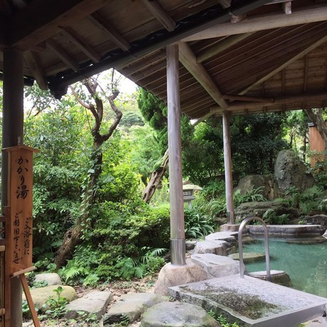 Imagen de la piscina del Hotel Senpokaku. Foto 16