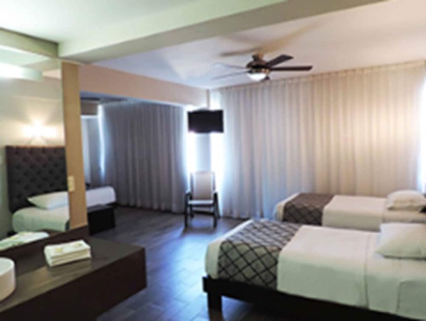 Imagen de la habitación del Hotel Se&ntilde;orial Platino. Foto 12