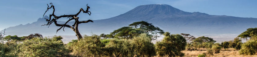 Imagen general del Hotel Sentrim Amboseli Lodge. Foto 1