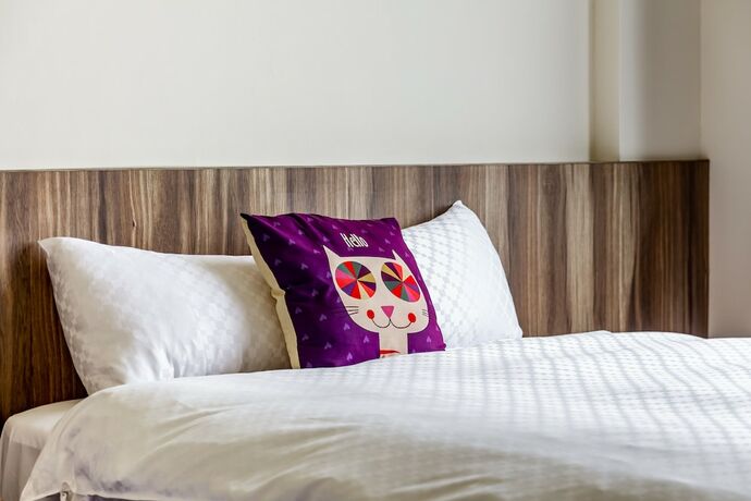 Imagen de la habitación del Hotel Senya. Foto 16