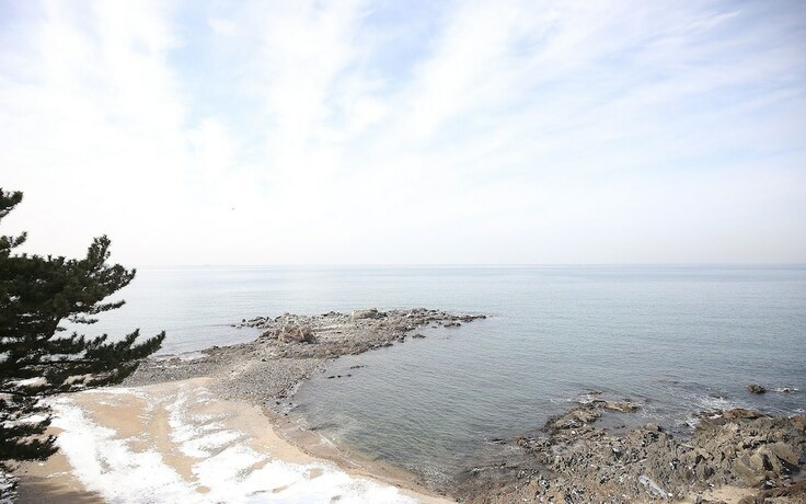 Imagen general del Hotel Seocheon Hyu. Foto 5