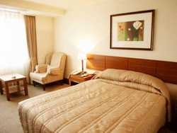 Imagen de la habitación del Hotel Seokyo Hotel. Foto 4