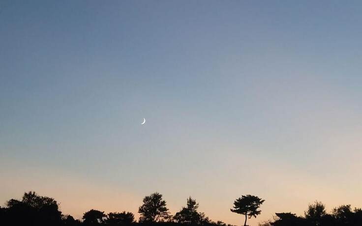 Imagen general del Hotel Seosan S Self Check-in. Foto 3