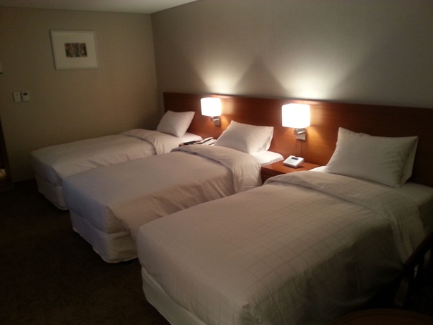 Imagen de la habitación del Hotel Seoul Rex. Foto 11