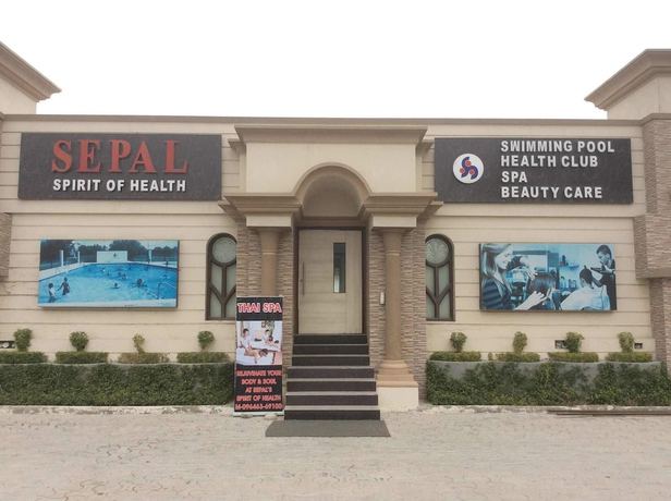 Imagen de la piscina del Hotel Sepal. Foto 19