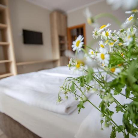 Imagen de la habitación del Hotel Sepetná. Foto 14