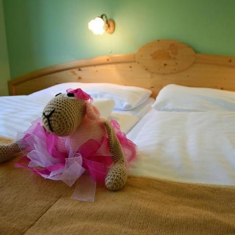 Imagen de la habitación del Hotel Sepetná. Foto 15