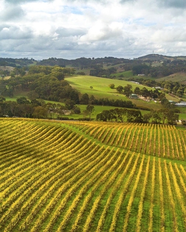 Imagen de los interiores del Hotel Sequoia Lodge. Foto 16