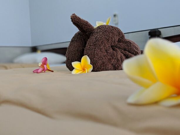 Imagen de la habitación del Hotel Serangan Inn Mimba. Foto 18