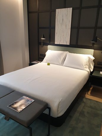 Imagen de la habitación del Hotel Sercotel Ayala Bilbao. Foto 14