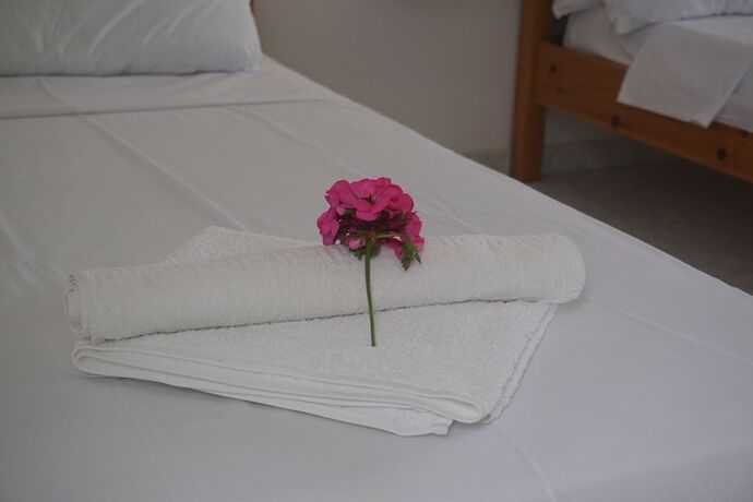 Imagen de la habitación del Hotel Serene Hill. Foto 18