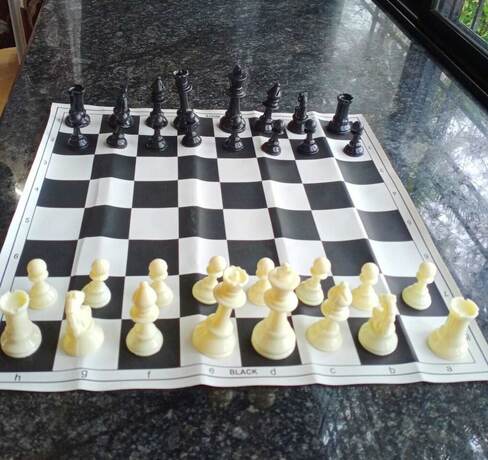 Imagen general del Hotel Serene Lake Castle. Foto 19