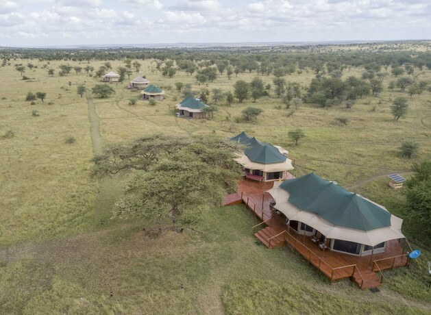 Imagen general del Hotel Serengeti Acacia Central Camp. Foto 11